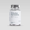 TRIBULUS TERRESTRIS