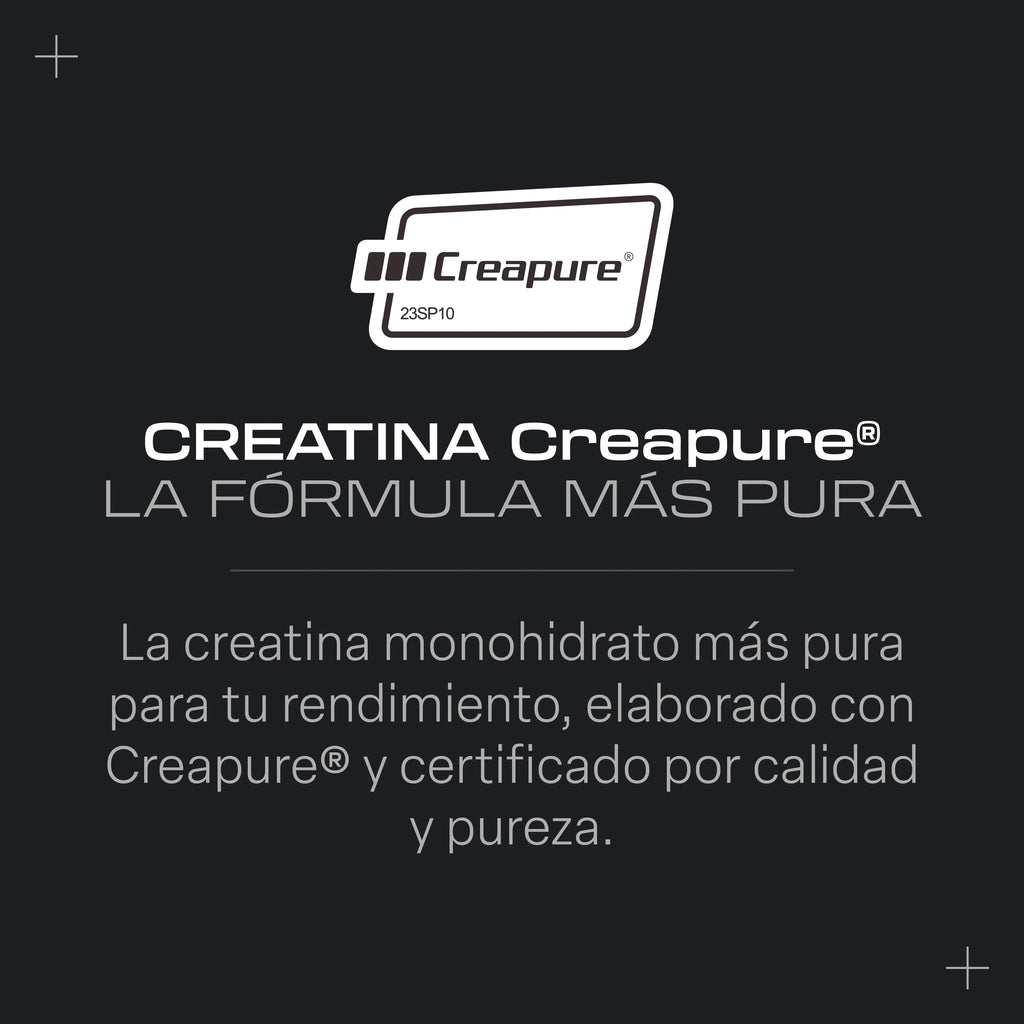 Créatine monohydrate Creapure - 300 g
