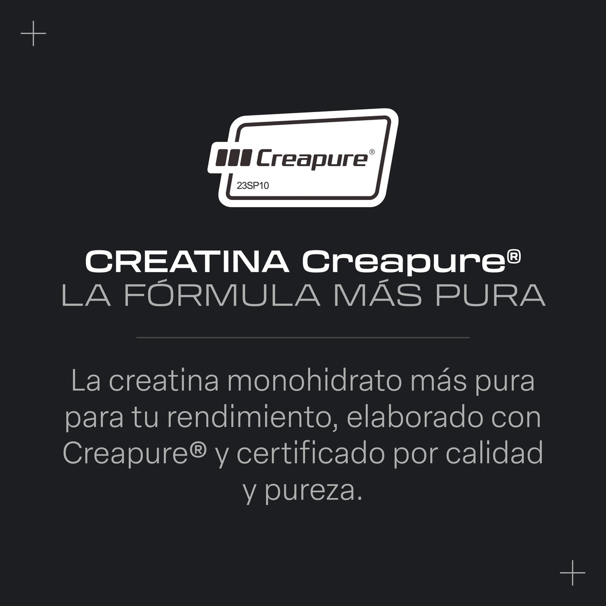 Créatine monohydrate Creapure - 300 g