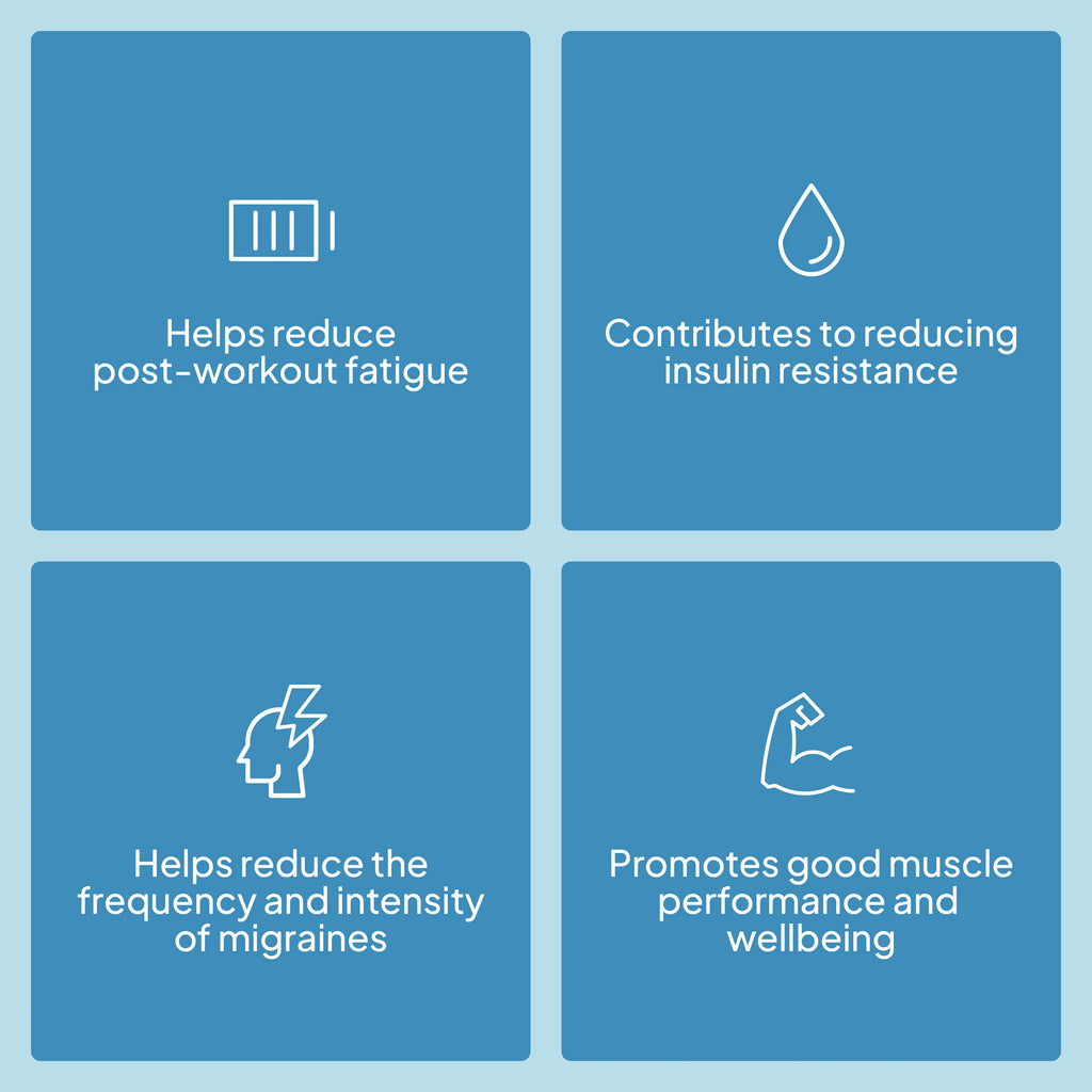 MAGNESIUM BISGLYCINATE + vitamine B6 - 90 gélules - 90 portions
